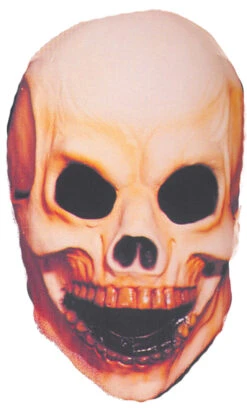 Rubie'sSmall Skull Mask
