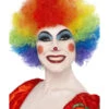 Crazy Clown Multicoloured Adult Wig