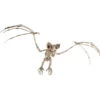Bat Skeleton Prop