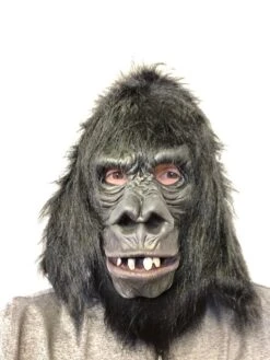 Deluxe Gorilla, Primate Ape Latex Face Mask -Family Halloween Store Sales Store IMG 1099 Copy 600x crop center ca5c5c9c 0e29 49f0 a6e1 8f3d7dbdc3da