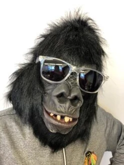 Deluxe Gorilla, Primate Ape Latex Face Mask -Family Halloween Store Sales Store IMG 1101 600x crop center 9b719985 62ec 4987 afcb 00d635a99ad4