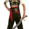 Disguise Prince Of Persia Prince Dastan Classic Child Costume