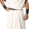 Toga Classic Adult Men's Costume