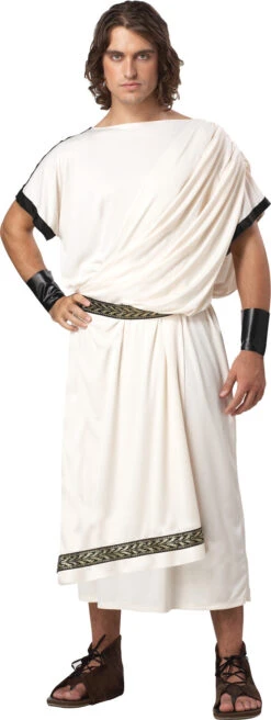 Toga Classic Adult Men's Costume