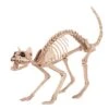 Skeleton Kitty Bonez