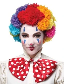 Pom Pom Multi Coloured Clown Wig Rainbow