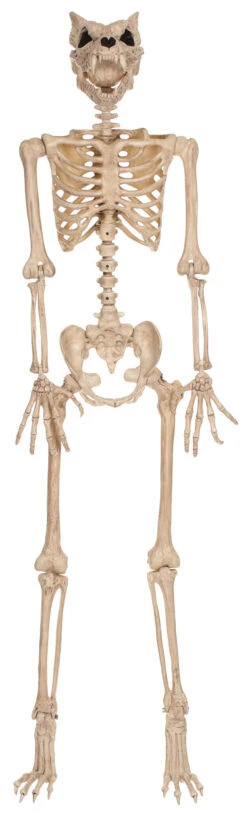 Werewolf Pose N Stay Skeleton Prop