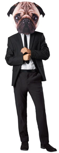 Seasons USAPugs Life Head