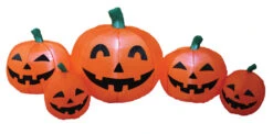 Pumpkins 5 Ft Long