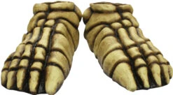 Skeleton Feet Bone Color