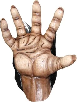 Chimp Brown Adult Hands