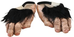 Chimp Adult Feet