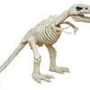 16" T-Rex Skeleton Prop Decoration, Dinosaur