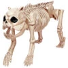 Skeleton Bones The Dog Prop