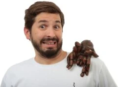 Tarantula Latex Shoulder Buddy