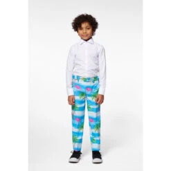 Opposuits Flaminguy Boy's Flamingo Patterned Suit -Family Halloween Store Sales Store osbo 0013 flaminguy gb 05 2 v9fszgf0orqejajv