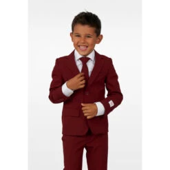Opposuits Blazing Burgundy Boys Suit