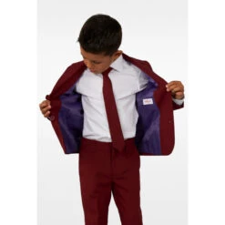 Opposuits Blazing Burgundy Boys Suit -Family Halloween Store Sales Store osbo 1011 blazing burgundy studio gb 03