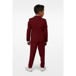 Opposuits Blazing Burgundy Boys Suit -Family Halloween Store Sales Store osbo 1011 blazing burgundy studio gb 04