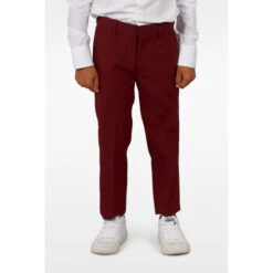 Opposuits Blazing Burgundy Boys Suit -Family Halloween Store Sales Store osbo 1011 blazing burgundy studio gb 05