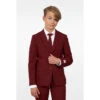 Opposuits Blazing Burgundy Teen Boys Suit