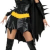 Women's Deluxe Batgirl Costume