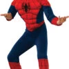 Boy's Spider-Man Muscle Costume