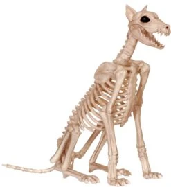 29 Inches Skeleton Doberman Dog Prop